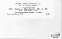 Uromyces rhynchosporae image